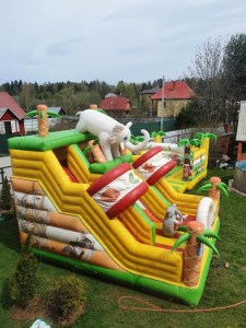 slon9